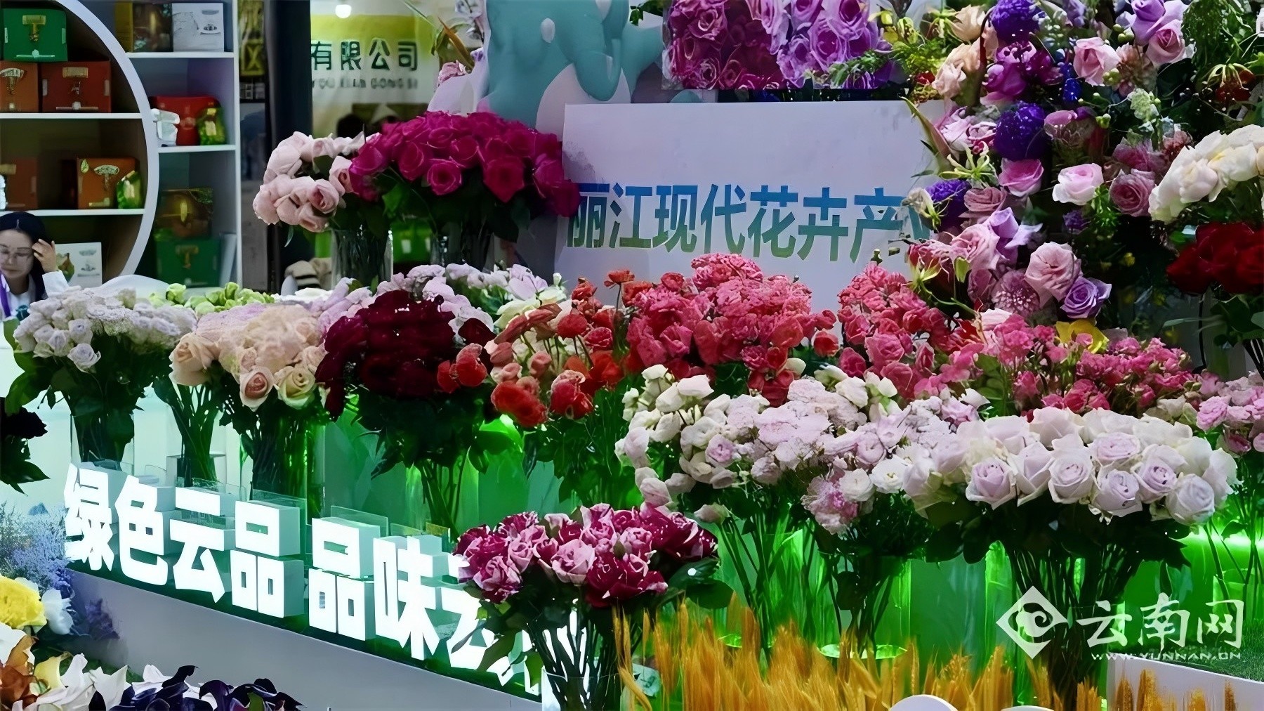 9f00d356049e1a5dd759359c6dc5108c_640_wx_fmt=jpeg&from=appmsg&tp=webp&wxfrom=5&wx_lazy=1#imgIndex=18.jpg